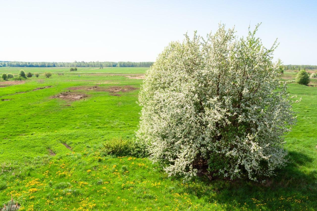 White Camomile Condo Šventoji Exteriör bild